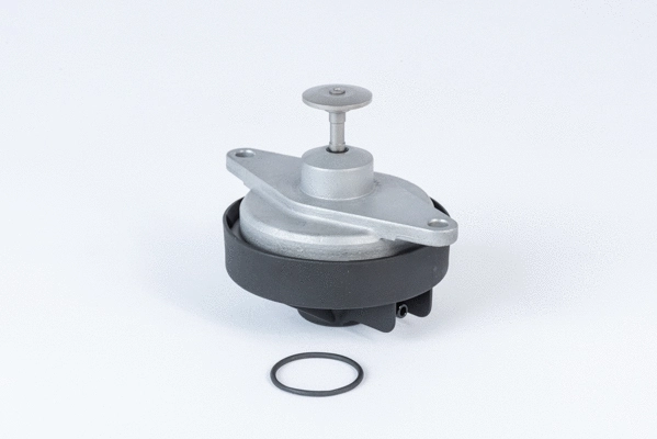 Vanne EGR BorgWarner 710920R