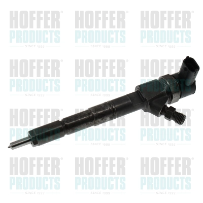 Injecteur HOFFER H74065R