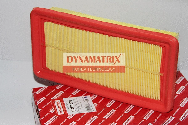 Filtre à air DYNAMATRIX DAF1808