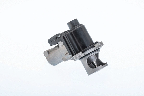 Vanne EGR BorgWarner 710977R