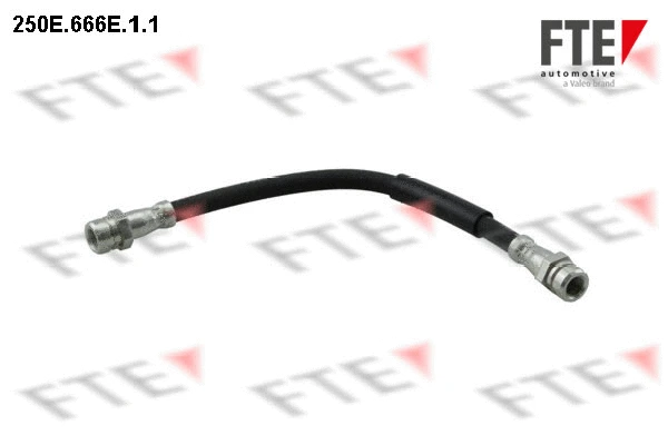 Flexible de frein FTE 9240409