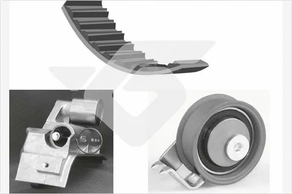 Kit de courroie crantée HUTCHINSON KH 418