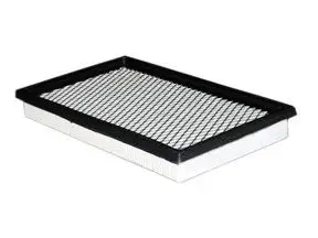 Filtre à air ACDelco Oceania ACA78