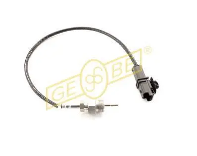 Débitmètre de masse d'air GEBE 9 5007 1