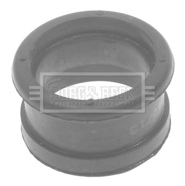 Gaine de suralimentation BORG & BECK BTH1289