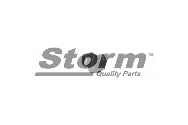 Coussinet de palier, stabilisateur STORM QUALITY PARTS F0466