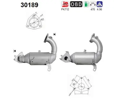 Catalyseur AS 30189