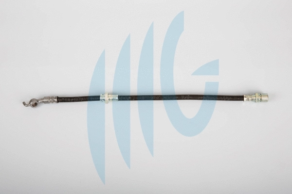 Flexible de frein RICAMBIFLEX GM 02070017