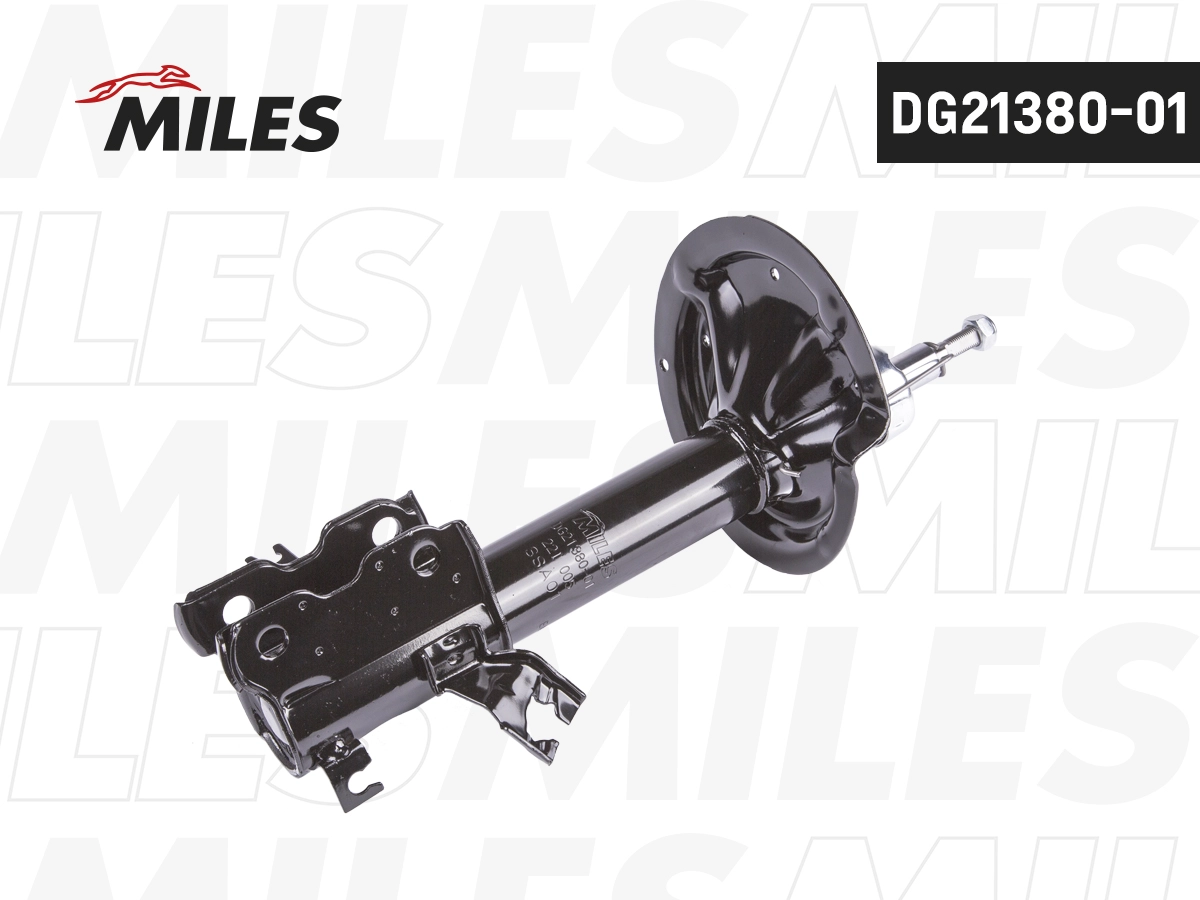 Amortisseur MILES DG21380-01
