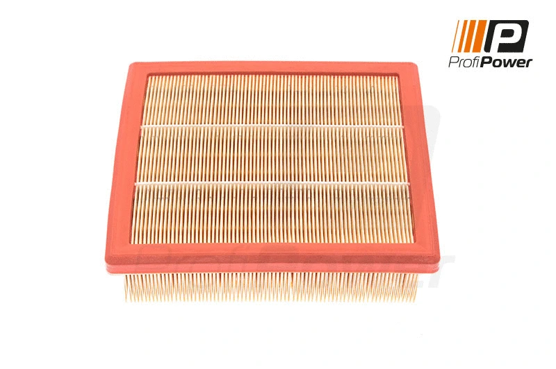 Filtre à air ProfiPower 2F0124
