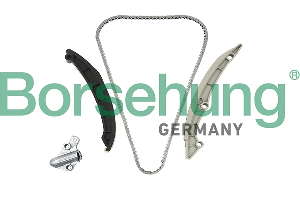 Kit de distribution par chaîne Borsehung B18982