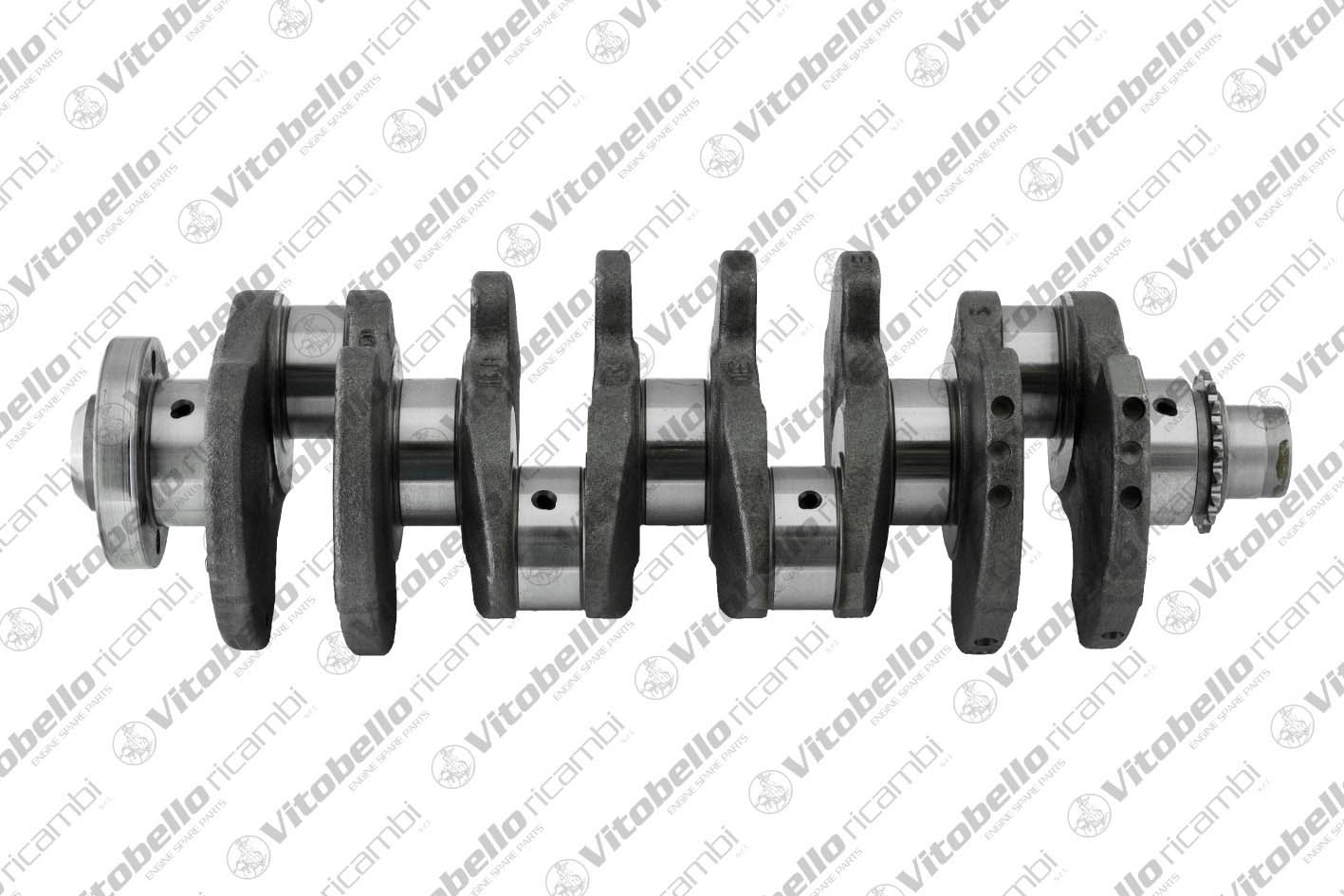 Vilebrequin Vitobello Ricambi 1000456R