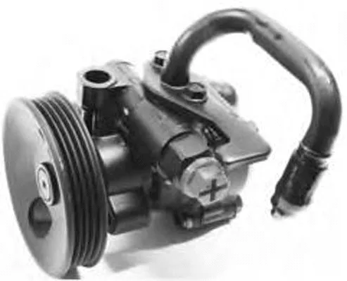 Pompe hydraulique, direction GENERAL RICAMBI PI1187