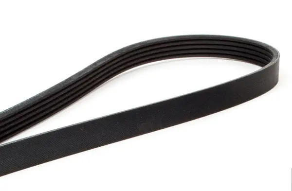 Courroie trapézoïdale à nervures ACDelco Oceania 5PK1030