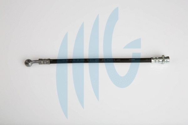 Flexible de frein RICAMBIFLEX GM 02160964