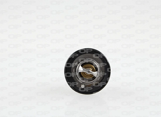 Thermostat, liquide de refroidissement OPEN PARTS TRM1150.00