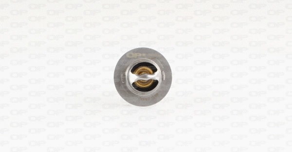 Thermostat, liquide de refroidissement OPEN PARTS TRM1013.00