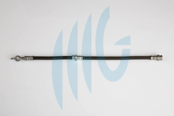 Flexible de frein RICAMBIFLEX GM 02300855