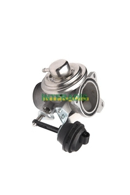 Vanne EGR INTFRADIS 25901