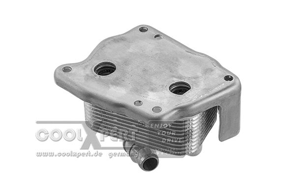 Radiateur d'huile BBR Automotive 001-10-18519