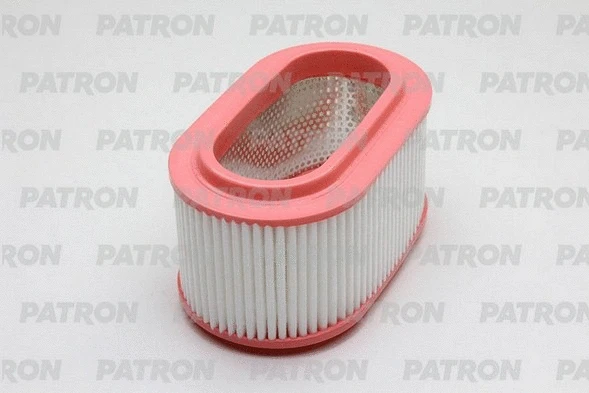Filtre à air PATRON PF1979