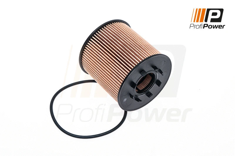 Filtre à huile ProfiPower 1F0066