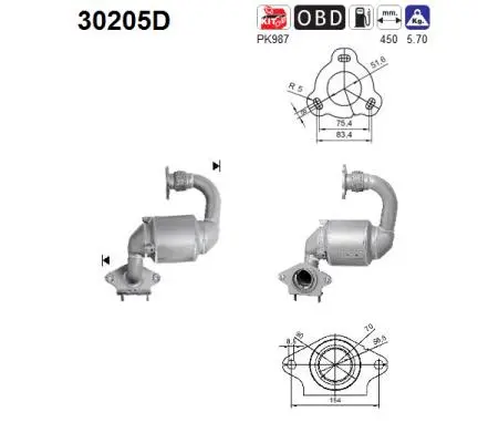 Catalyseur AS 30205D