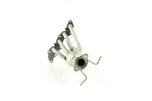 Catalyseur WALKER 20947