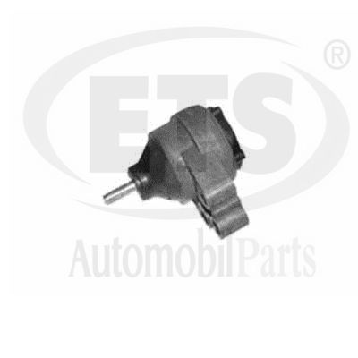 Support moteur ETS 06.ST.096