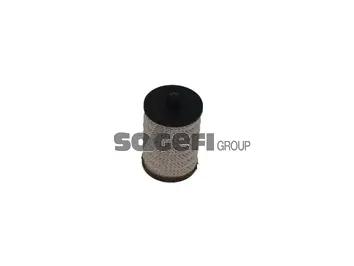 Filtre à carburant FRAM C9816ECO