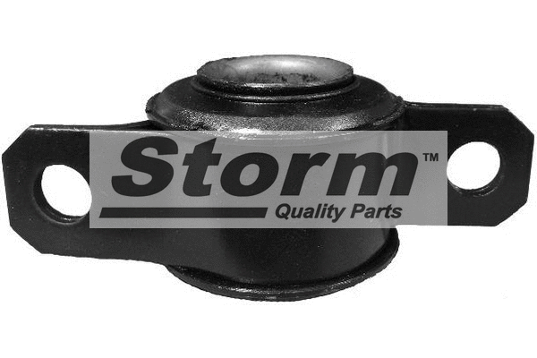 Suspension, bras de liaison STORM QUALITY PARTS F2873