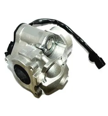 Vanne EGR ASSO 70.0165