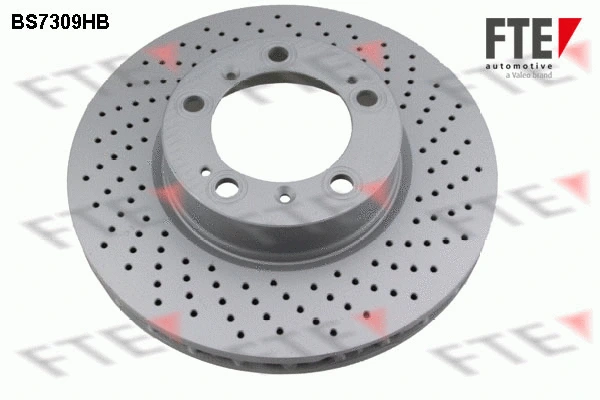 Disque de frein FTE 9081332