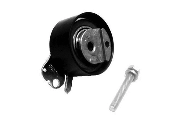 Poulie de tension, courroie crantée SKF Brazil VKM 13214