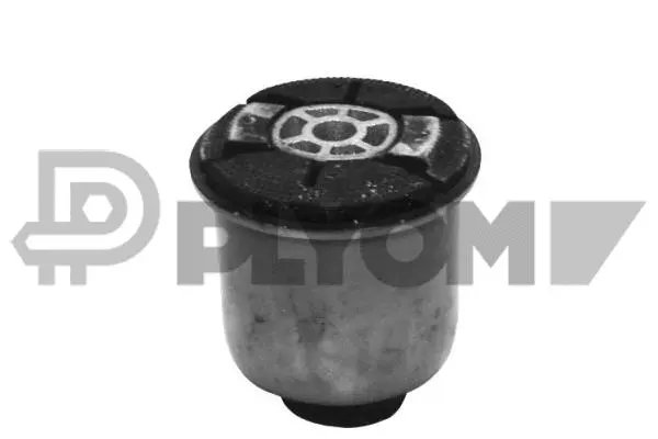 Suspension, corps de l'essieu PLYOM P021284