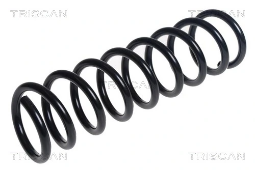 Ressort de suspension TRISCAN 8750 16143