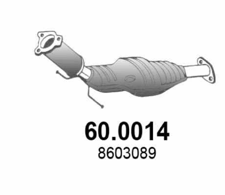 Catalyseur ASSO 60.0014