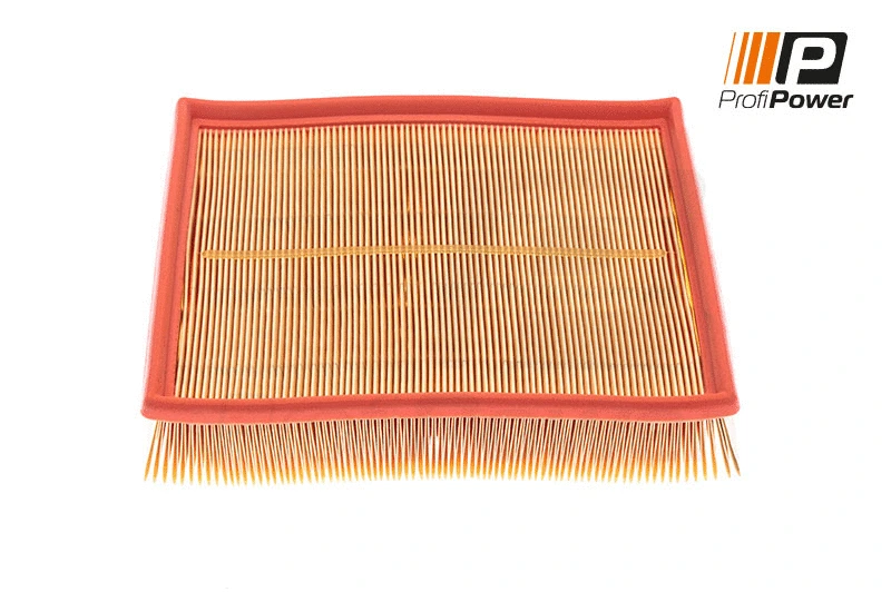 Filtre à air ProfiPower 2F0002