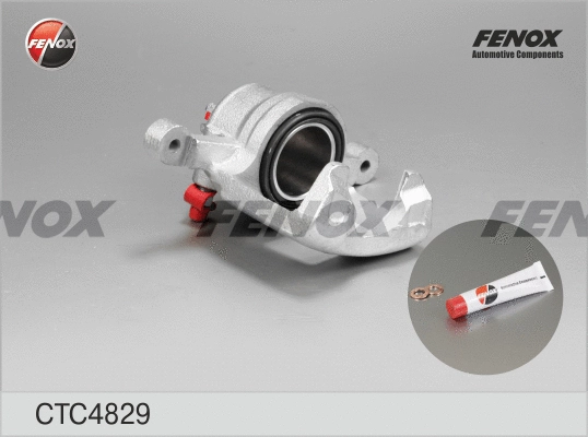 Jeu d'axes d'étriers de freins FENOX CTC4829