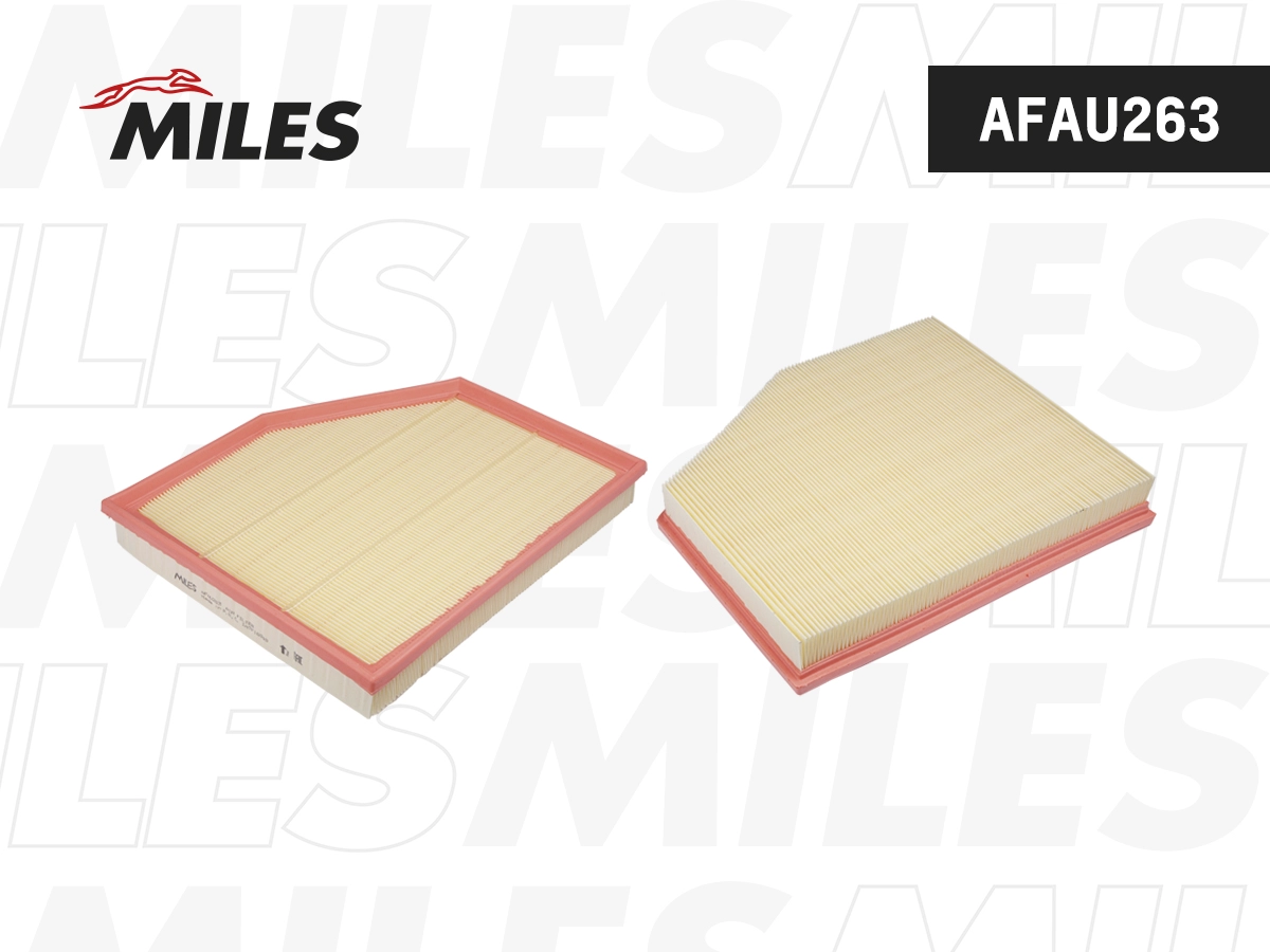 Filtre à air MILES AFAU263