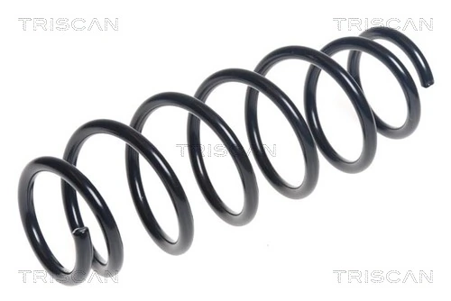 Ressort de suspension TRISCAN 8750 42105