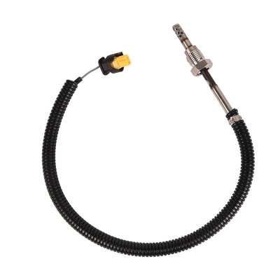 Capteur, température des gaz BAPMIC BF0425990133