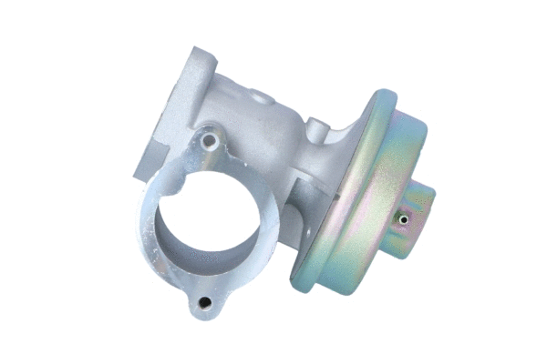 Vanne EGR WILMINK GROUP WG2161823