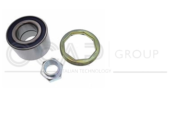 Kit de roulements de roue OCAP 6120380