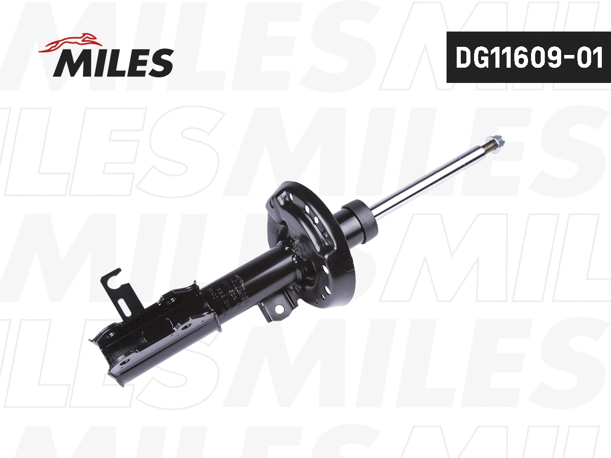 Amortisseur MILES DG11609-01