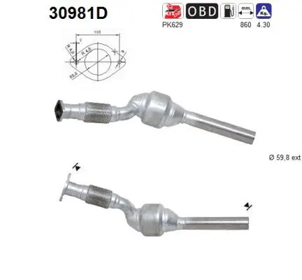 Catalyseur AS 30981D