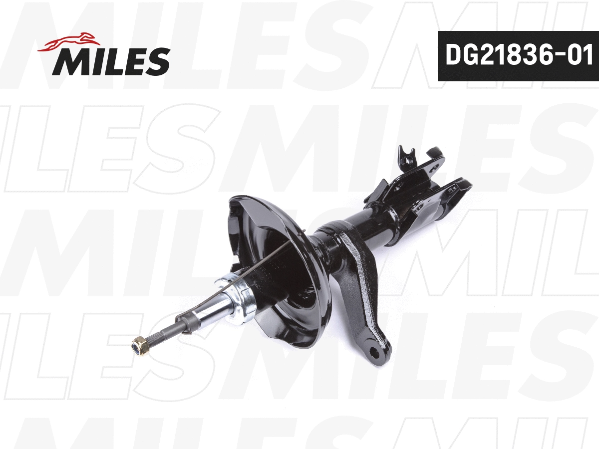 Amortisseur MILES DG21836-01