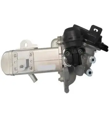 Vanne EGR ASSO 70.0159