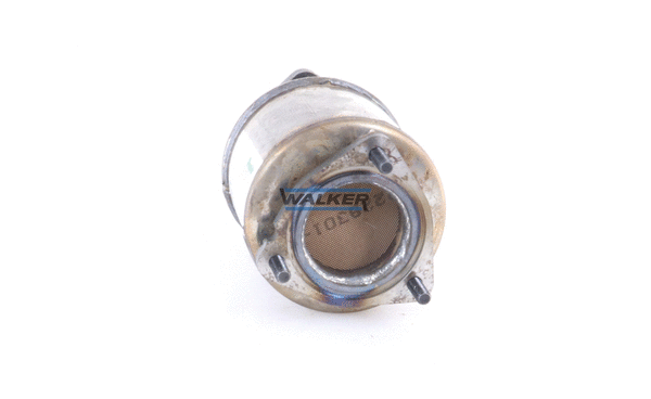 Catalyseur WALKER 28758