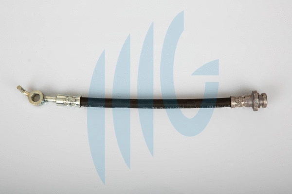 Flexible de frein RICAMBIFLEX GM 02101136